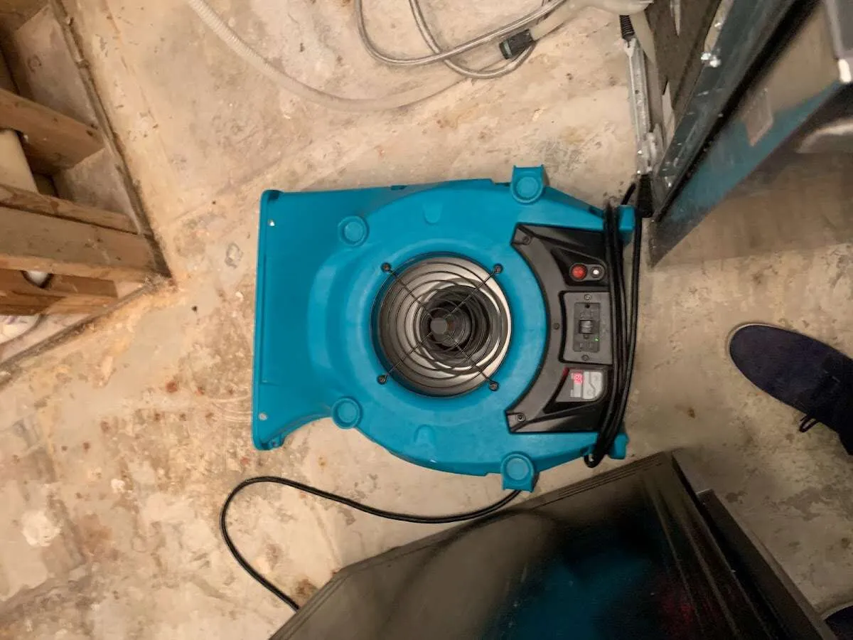 Air mover drying equipment for Mold Remediation & Removal in Colton